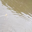 소금강가족낚시터 이미지