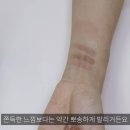 누디스트