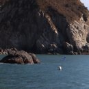 진성종합건설㈜ 이미지