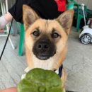 똘이똘이엄마식당 이미지