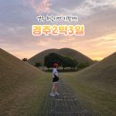 봉황대 유적 공중화장실(주차장) | 경주여행 코스 추천 2박3일 황리단길부터 경주야경 명소까지