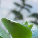 영암내과의원 이미지