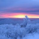 공설운동장 입구 4 이미지