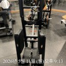 디랙스 체스트프레스(판매중), 부티빌더 스탠딩 힙 어브덕션(예약중) 팝니다. 이미지