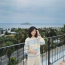 브릭스관광호텔 | 🏝️ 2박 3일 겨울 제주 여행 코스 총정리! 최저가 제주도 렌트카 가격 비교 할인 예약 돌하루팡 후기 🚗