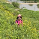 경기둘레길 안성43코스 이미지