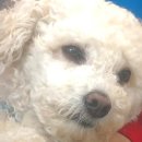 신동농장 이미지