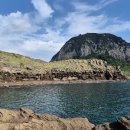 안덕면 용머리 공영주차장 입구 이미지