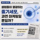 확실한신경외과의원 | 의사가 1천만 원 내고 직접 맞은 혈액 줄기세포 주사 4개월 차 찐 후기