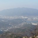 조견사우 이미지