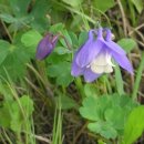 유실목장 이미지