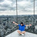 제이디지털랩 | 도쿄 시부야 스카이 전망대 예약 꿀팁 기념품 일몰시간 추천