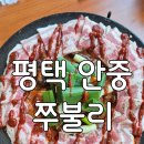 평택-안중-안중-13 | 평택 안중 쭈꾸미 맛집 쭈불리 안중점 후기