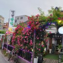 일월쌈밥 | 장미꽃 가득한 감성 맛집, 일월쌈밥 다녀왔어요.