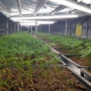 달성영농조합법인 이미지