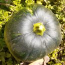 최우창치과의원 이미지