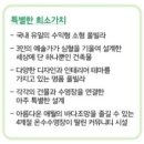 애월시크릿펜션