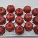 [판매마감] 산빛농장 사과판매합니다.(맛있습니다.^^) 이미지