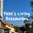 파파스그릴(PAPA's Grill) | 체코 체스키크롬로프 맛집 Papa's Living Restarurant 블타강뷰 야외 테라스 후기