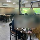 참살이토속청국장 이미지