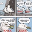 울진바다소리 네이버블로그