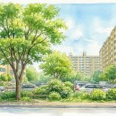 풍납현대아파트104동 | [송파구 풍납동 아파트] 풍납현대 매매 가격 및 호가 시세 현황 (2026.06.09 현재)