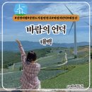 매봉산 바람의언덕 | 강원도 태백 가볼만한곳 매봉산 바람의언덕 꿀팁 주차정보 셔틀버스 강원도여행
