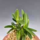 두엽농장 이미지