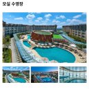 씨유 서귀포강정점 | 아이랑 제주도 신화월드 메리어트, 귤 따기, 말타기 체험