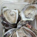 비소(보람)-호-5 | [다이버수산]거제도 자연산 바위굴 하프셀 5kg, 생으로 먹고 라면에도 넣어본 솔직후기 | 내돈내산