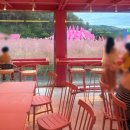 지에스허브 | 포천 가볼만한곳 핑크뮬리 가득한 포천허브아일랜드