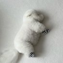 애월사랑 이미지