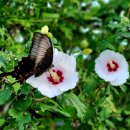 별난해변펜션 이미지