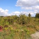 가시보건진료소 이미지