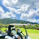 알리바이 우산점 | 알리바이 변색 골프 선글라스 필드 골프 라운딩 준비물