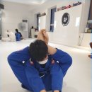 내동동물약국 이미지