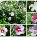 삼천리농장 이미지