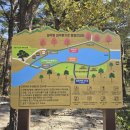 GS25 설악산점 이미지