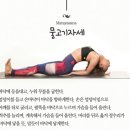 파리바게뜨비아지점 | [문정역요가] 거북목, 라운드숄더에 좋은 테라피요가 | 아메리카요가 문정점