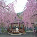 수양경로당 이미지