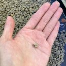 홈카페 바리스타자격증 이미지