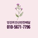 능안로1 | 안산 반찬 배달 추천 반찬 잘하는 곳, 엉겅퀴 솔직후기