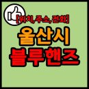 신정남부점 현대자동차 티스토리