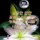 청청농부