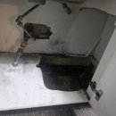 동일청과 이미지