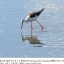 나라약국 | 제주 반바퀴 자전거여행 1일차 | 용두암부터 신창풍차해안까지