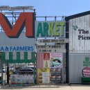 교동초등 이미지