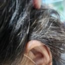 태화보청기 | 남창에서 오신 고객님 보청기 착용 후기