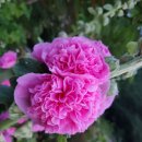 산골짜기농장 이미지