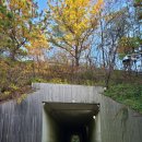 예술의전당 뒤(신정 약수터) 이미지